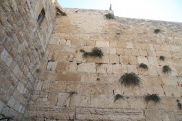 Наше празднование Бар-Мицвы около Стены Плача в Иерусалиме.