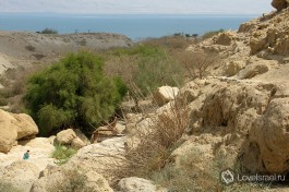 Вид на Мертвое море с заповедника Эйн Геди. Он стоит того, чтобы подняться вверх по горе.