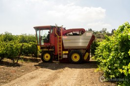 Машина для автоматического сбора урожая винограда.