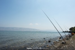 Рыбаки на озере Кинерет.