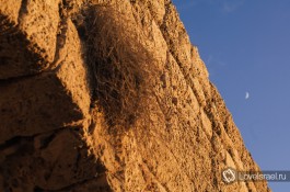 Акведукты в Кейсарии. Фото - Юрий Юхацков.