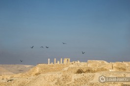 древний город Набатеев, в самом сердце израильской пустыни Негев.