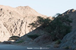 Эйлатские горы.