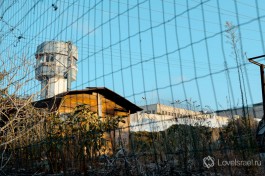 В Израиле соблюдают законы гораздо больше, чем во многих других странах.