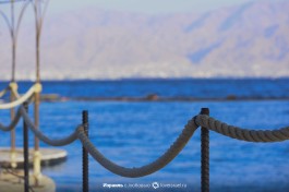 Свобода и спокойствие Красного моря.