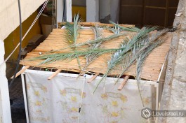 Сукка. Обязательно использование пальмовых ветвей.
