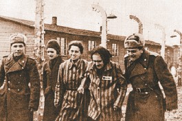 Освобожденные.