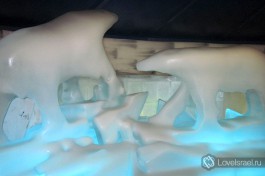 Ice-Space - небольшая аттракция в Эйлате... не беспокойтесь, их там еще много :)