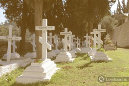 Монастырское кладбище в лучах восходящего солнца. Здесь сестры заканчивают свой земной путь.