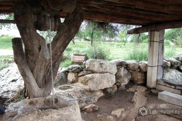 В парке Неот Кедумим воссоздана природа библейского времени.