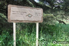 Неот Кедумим, заповедник в Израиле