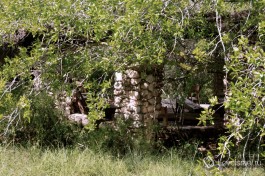 Неот Кедумим, заповедник в Израиле