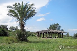 Неот Кедумим, заповедник в Израиле