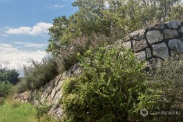 Неот Кедумим, заповедник в Израиле