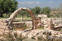 Неот Кедумим, заповедник в Израиле