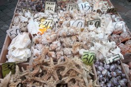 На рынке Эйлата можно купить сувенир с берегов Красного моря.