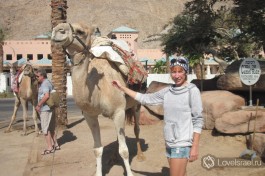 Маша (справа), замечательный дизайнер проекта LoveIsrael.ru!
