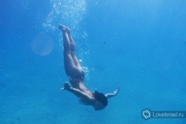 Вперед, в глубину Красного моря!