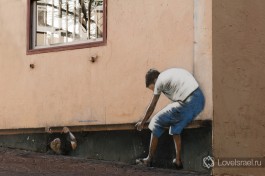 Терпение и труд - все перетрут. Тель-Авив, made by Rami Meiri.