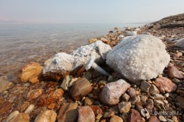Нигде больше такого не увидите. Только в Израиле )