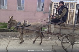 Частые виды самого безотказного транспорта.