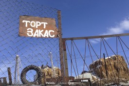 Торт на заказ. Без слов, одни эмоции :)