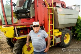 Хаим. Выращивает виноград в этих местах уже более 20 лет.