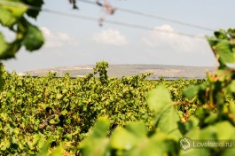 Зихрон-Яаков находится на своего рода границе между севером и югом Израиля.