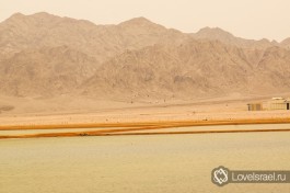 Служить водителем в Армии Обороны Израиля - на южной израильской границе.