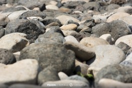 Вода озера Кинерет.