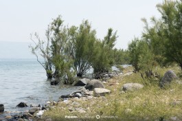 Вода озера Кинерет.