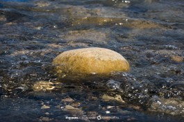 Вода озера Кинерет.