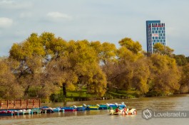 Парк Яркон в Тель-Авиве. Фото - Алена Яроцевич.